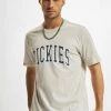 Dickies Herren T-Shirt Aitkin In Grau
