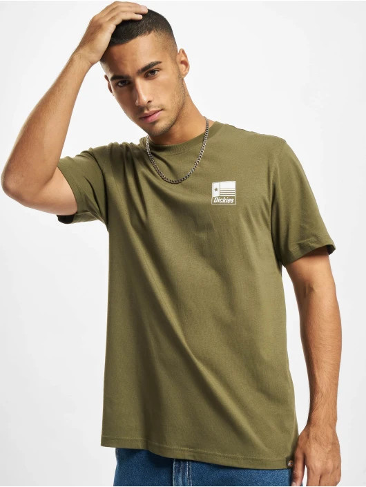 Dickies Herren T-Shirt Taylor SS In Grün 3 Dickies Herren T-Shirt Taylor SS In Grün