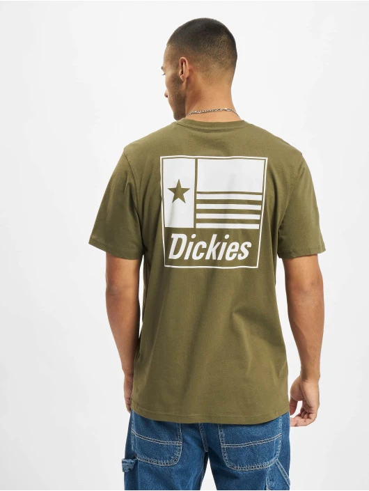 Dickies Herren T-Shirt Taylor SS In Grün 4 Dickies Herren T-Shirt Taylor SS In Grün – Bild 2