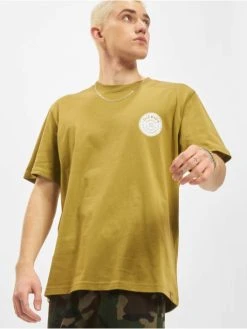 Dickies Herren T-Shirt Woodinville In Grün