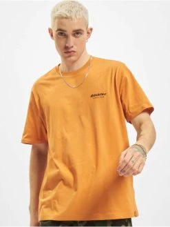 Dickies Herren T-Shirt Artondale Box In Orange