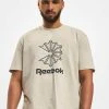 Reebok Herren T-Shirt CL Starcrest In Beige -Only & Sons Shop reebok t shirt beige 870950