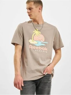 Reebok Herren T-Shirt Classics Summer Graphic In Grau