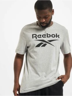 Reebok Herren T-Shirt RI Big Logo In Grau