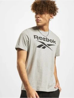 Reebok Herren T-Shirt Ri Big Logo In Grau