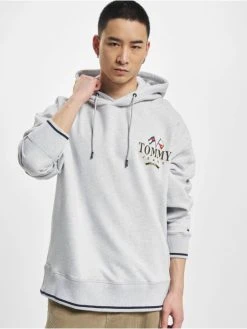 Tommy Jeans Herren Hoody Skater Prep In Grau